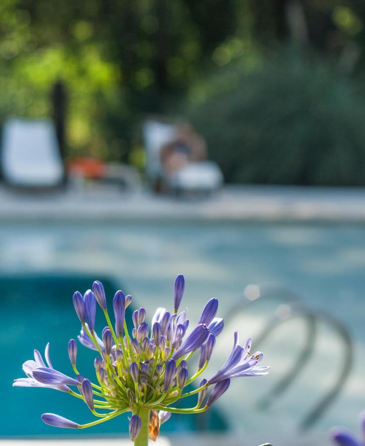 Atelier Hotel De Charme Villa General Belgrano Luaran gambar